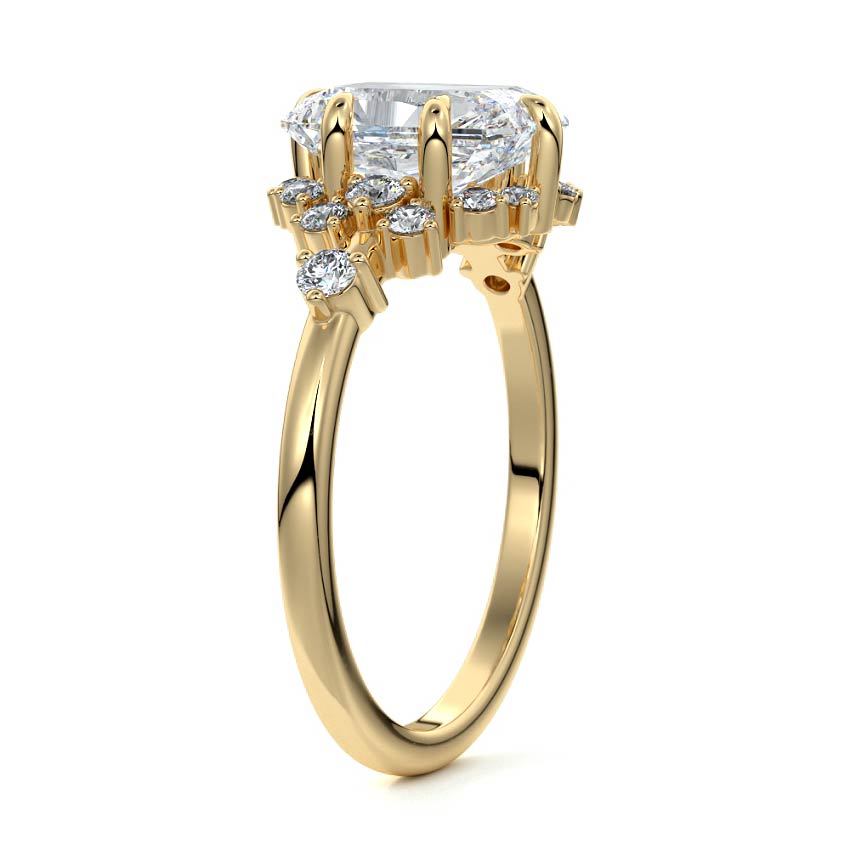 Jesse- 3.0 CT Radiant Cluster Moissanite Ring