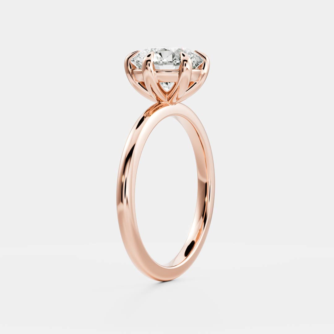 Peter- 1.0 CT Round Solitaire Moissanite Ring