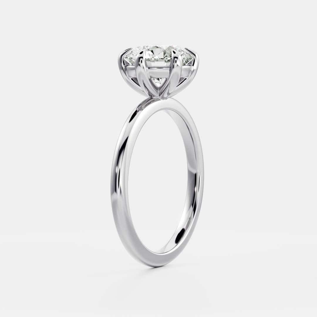 Peter- 1.0 CT Round Solitaire Moissanite Ring
