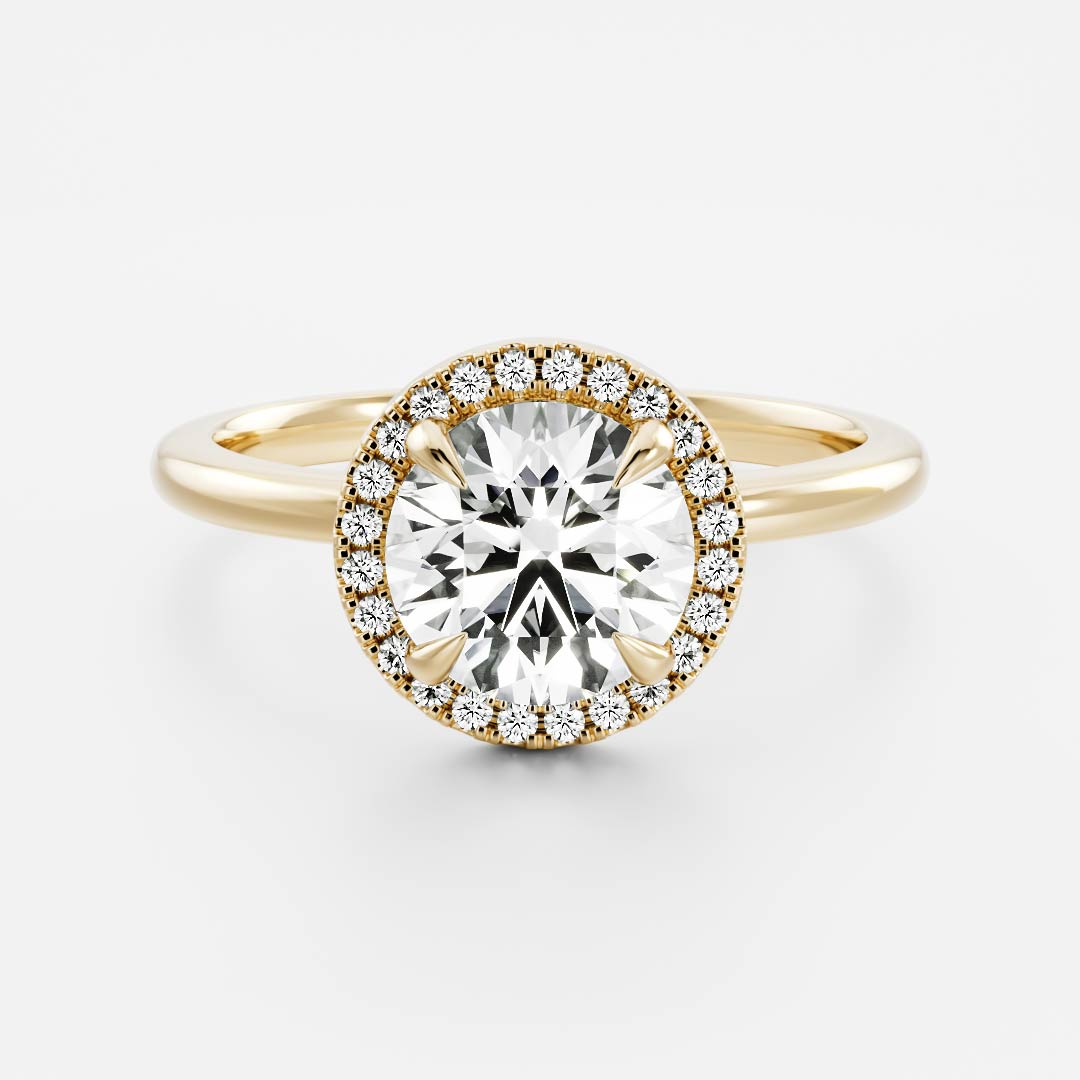 Harold- 1.0 CT Round Halo Pave Moissanite Ring