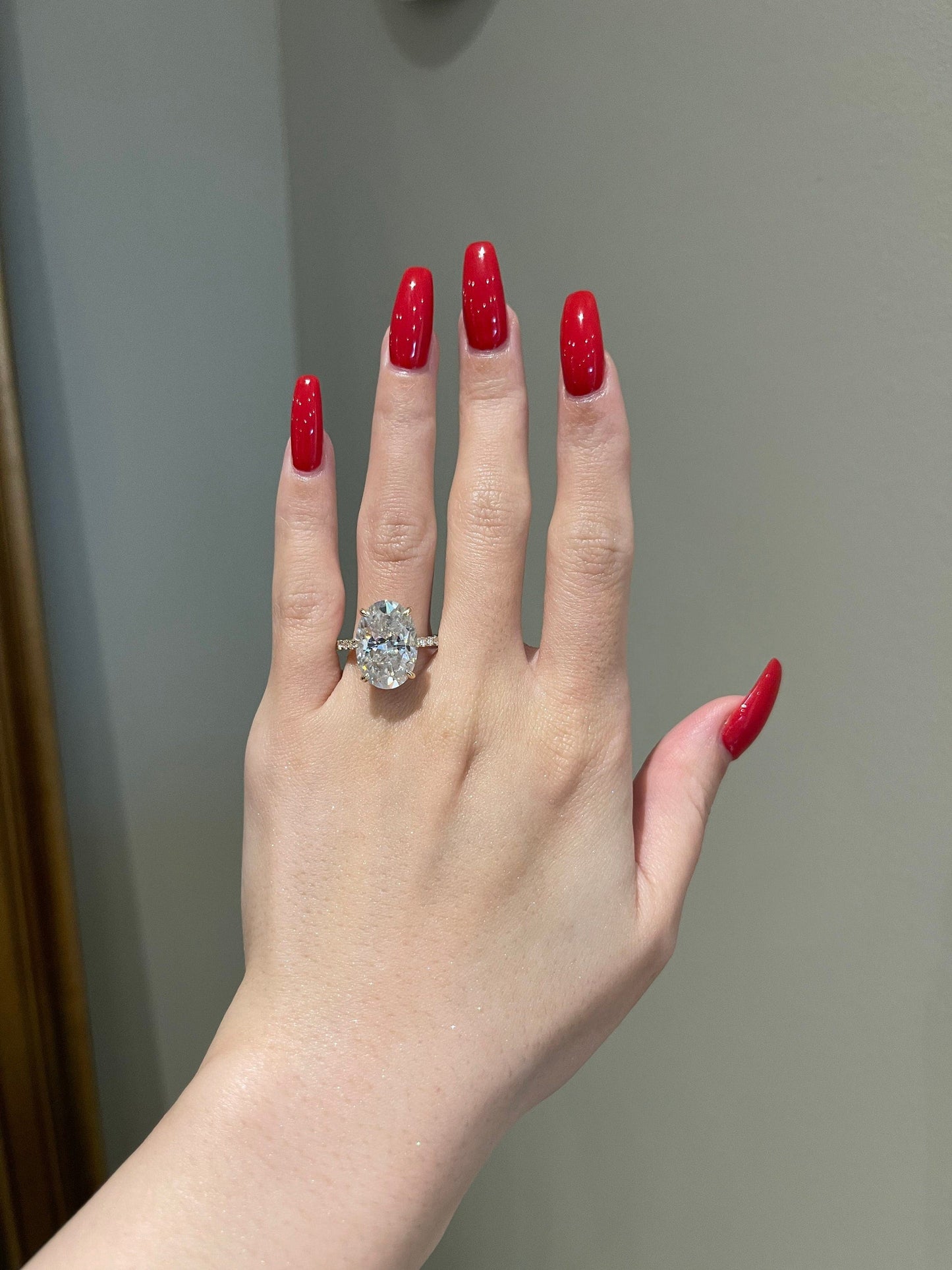 Sandra- 10.0 CT Oval Pave Moissanite Ring