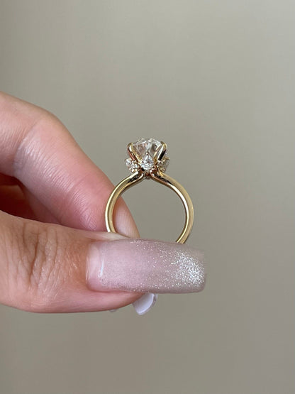 Douglas- 5.0 CT Oval Hidden Halo Moissanite Ring