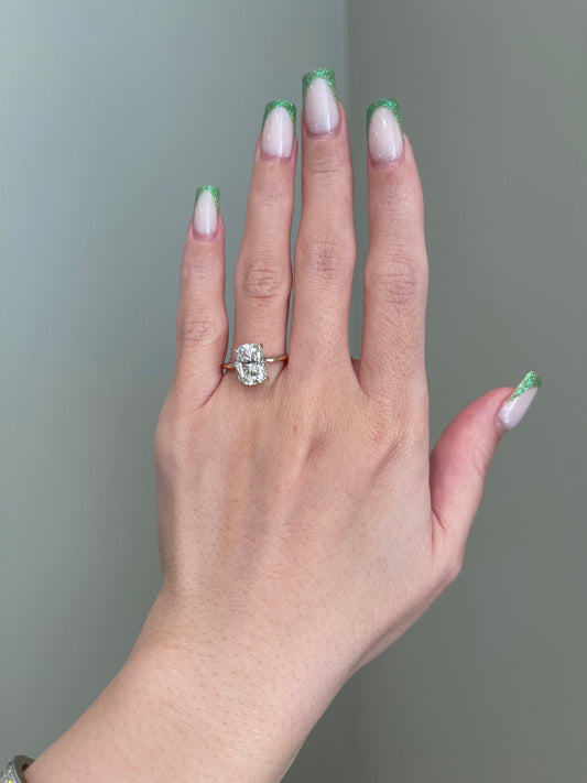 Heather- 4.0 CT Cushion Doubble Hidden Halo Moissanite Ring